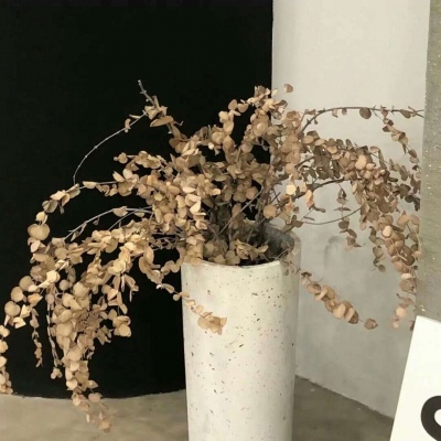 Furry角色动作绘画技巧兽圈社群